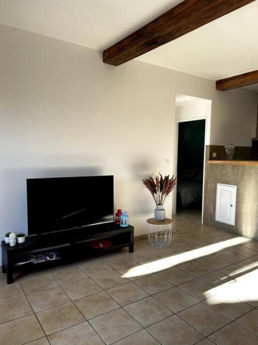 Superbe Appartement Dans Un Mas Nimes Ngoại thất bức ảnh
